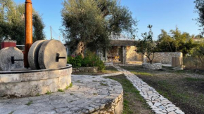 Villa Regina
